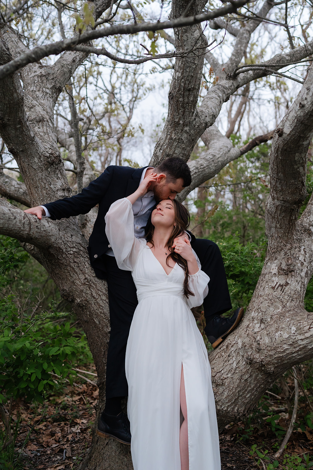 Engaged couple posing sitting on a tree at Cape Cod 