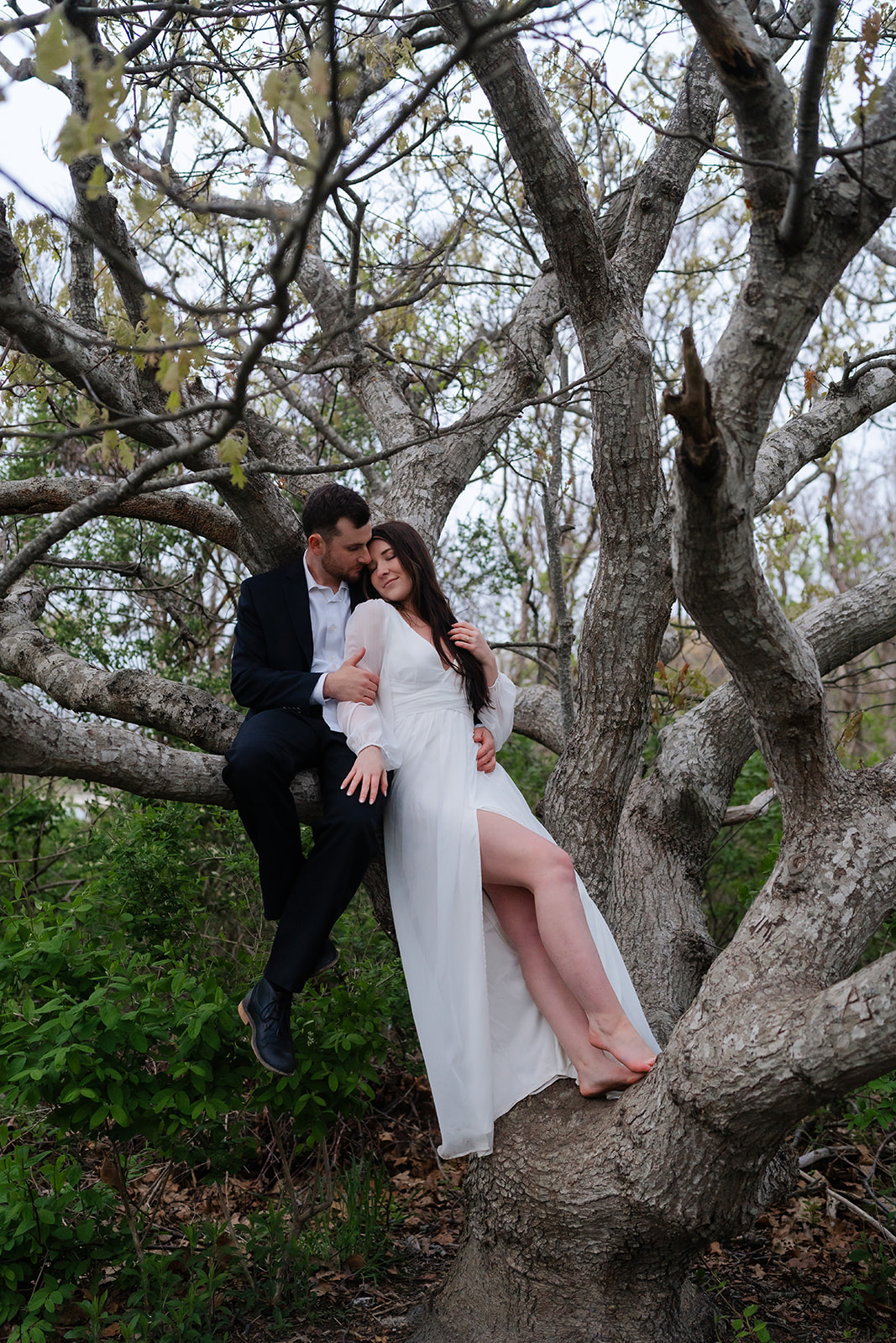 Engaged couple sitting in a tree 