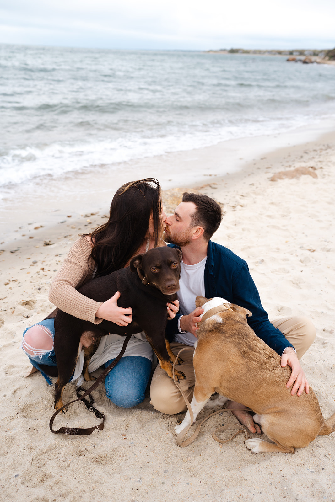 Engaged couple kissing while they hold their puppies during their Cape Cod engagement