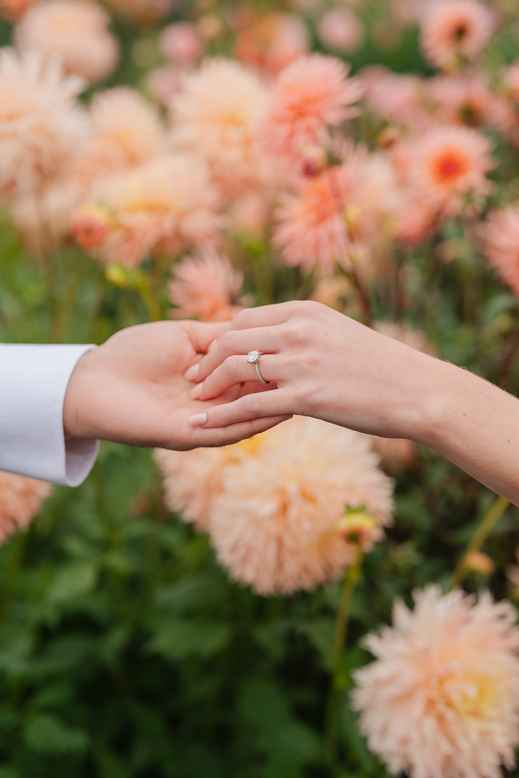 Couple holding hands showing off the womans engagement ring